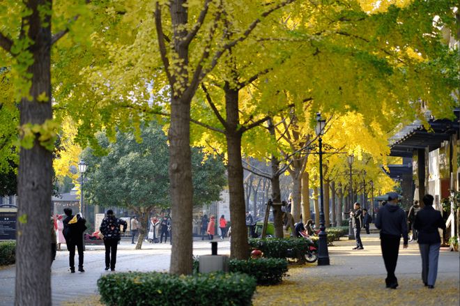 ⭐古北99官方售楼处发布：内中环金虹桥绝版低密藏品登场！